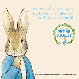 Peter Rabbit